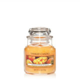 Yankee Candle giara piccola mango peach salsa