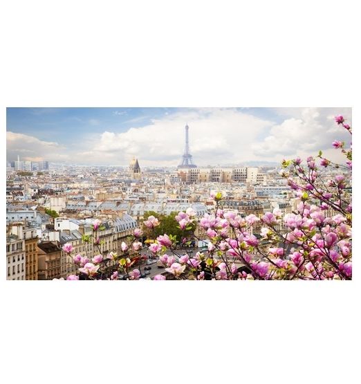 Quadro Urbano Parigi e Torre Eiffel con fiori di pesco M1342