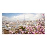 Quadro Urbano Parigi e Torre Eiffel con fiori di pesco M1342