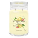 Yankee Candle signature large jar iced berry lemonade 1629983E